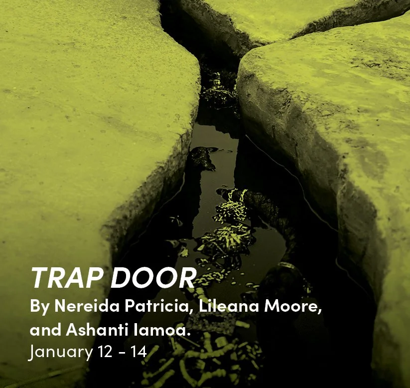 TRAP DOOR - 823x778.jpg
