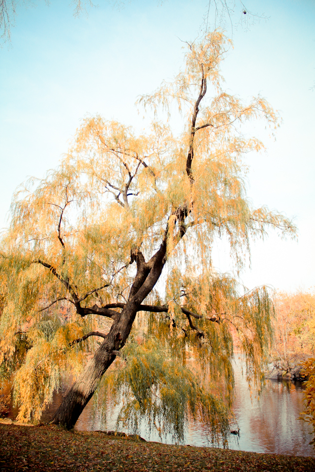 Central_Park-17