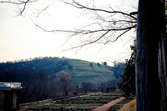 Monticello-1