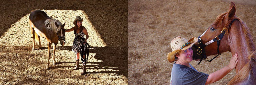 Erin-Cutshall_equus-coaching.jpg