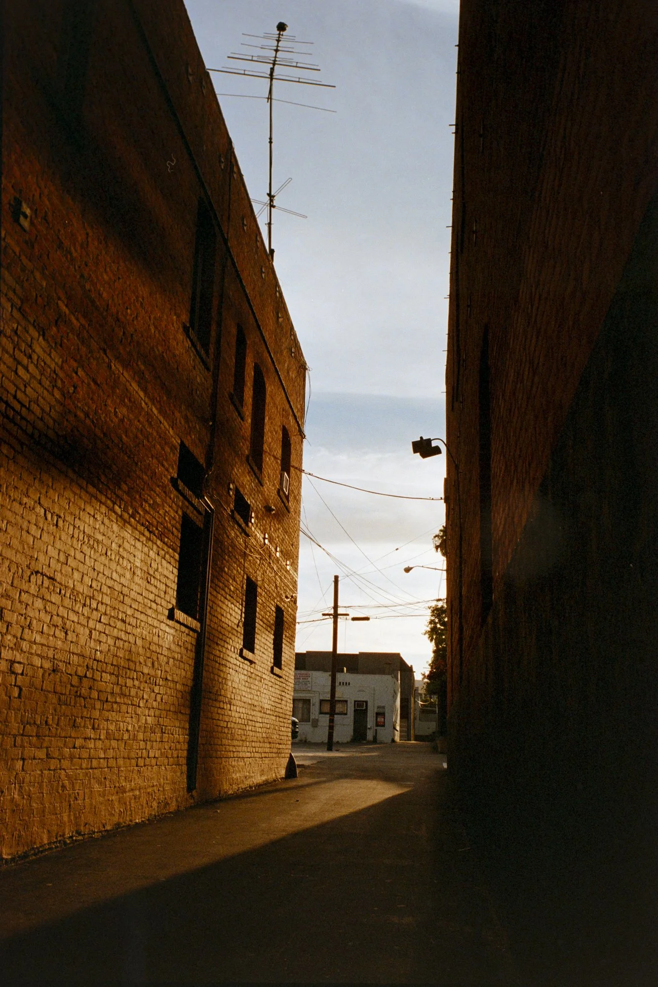 SONY-4.jpg