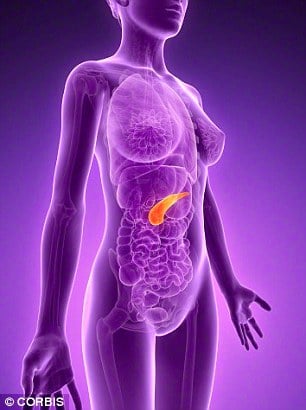 The breakthrough found a way of turning skin cells into healthy pancreatic (pictured) cells, which could replace those damaged in type 1 diabetes