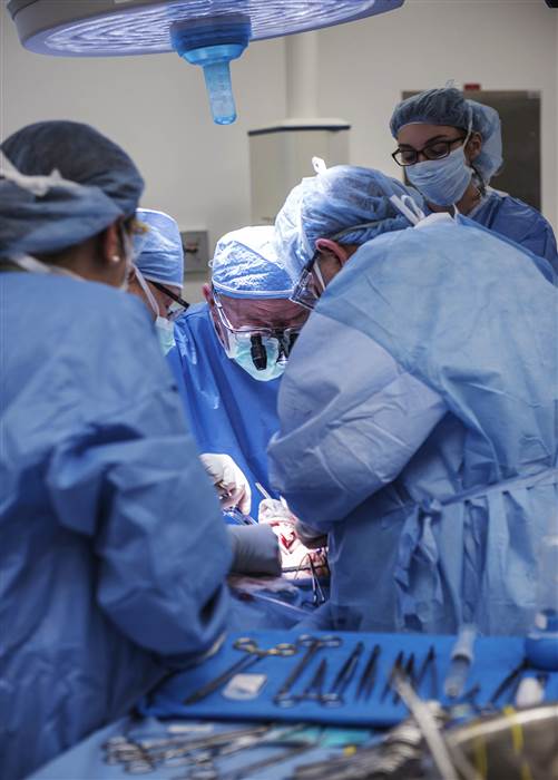 Surgeons from Cleveland Clinic perform the nation’s first uterus transplant (image by Ken Baehr)