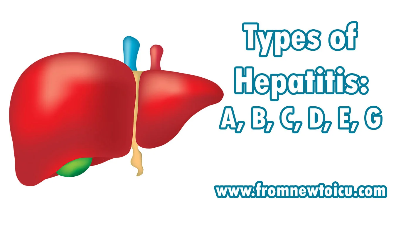 Hepatitis D.jpg