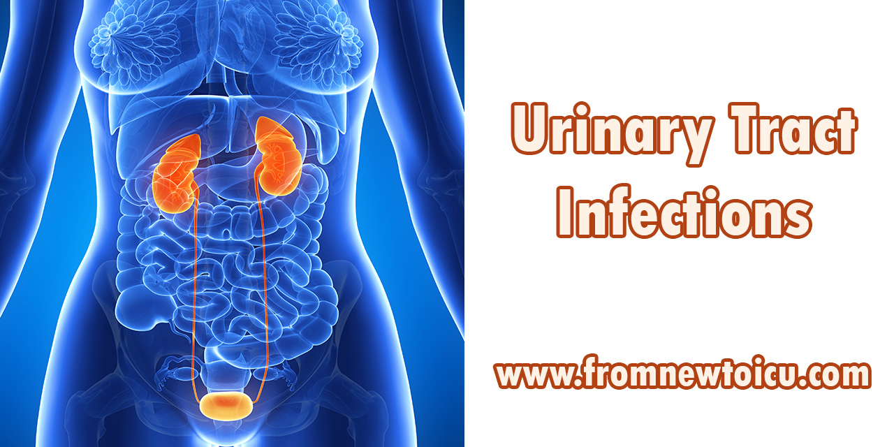 Urinary Tract Infections.jpg