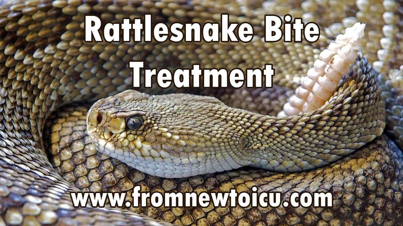 Rattlesnake Bite Treatment.jpg