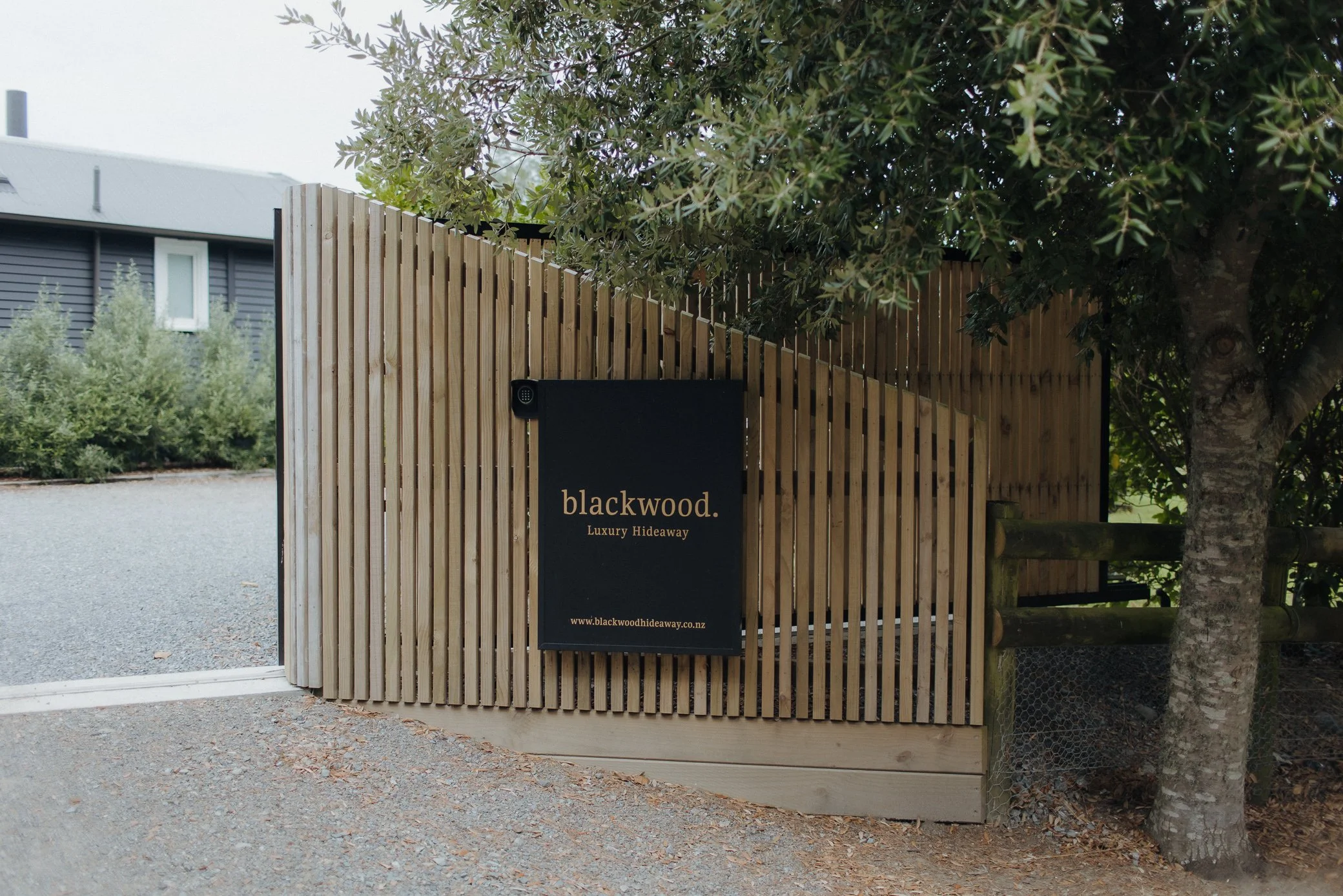 B+B-1.jpg