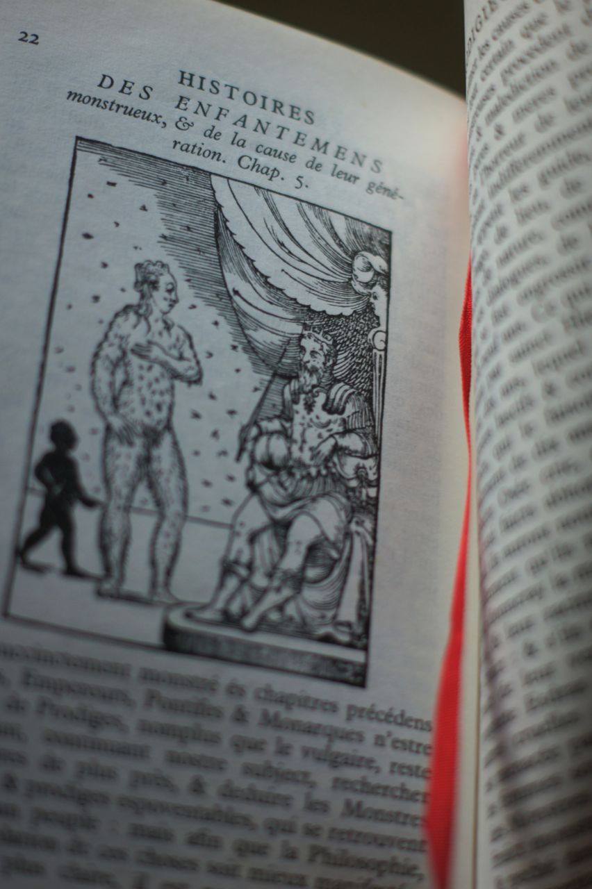 Histoires prodigieuses, 1560