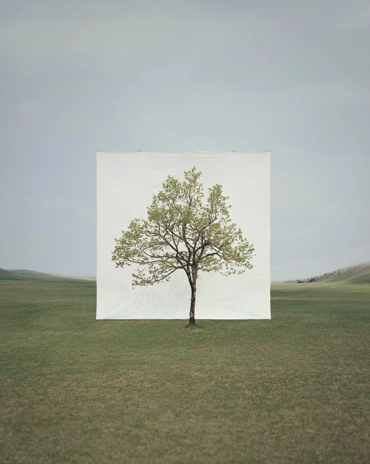 Transient