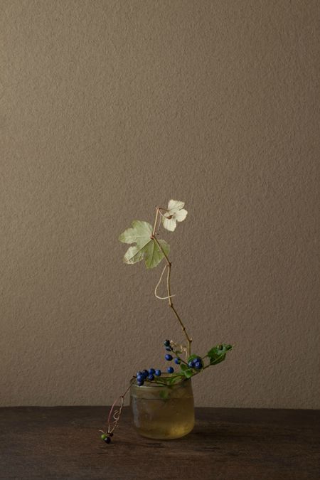 Transient