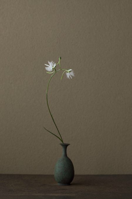 Transient