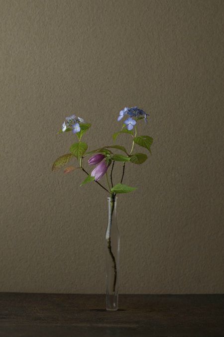 Transient