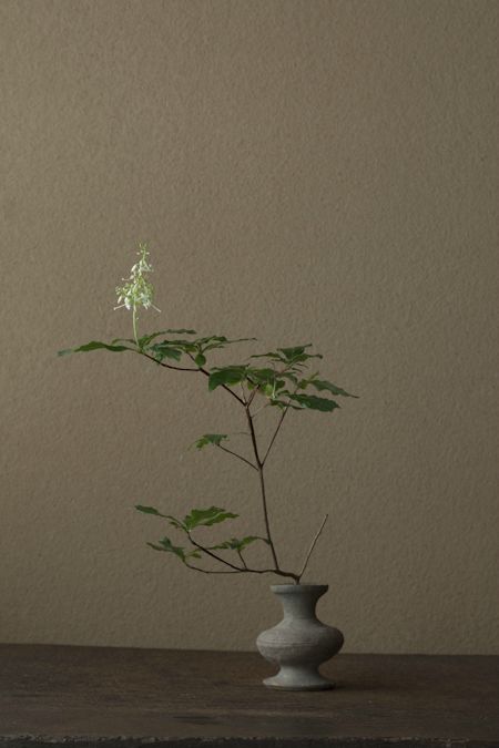Transient