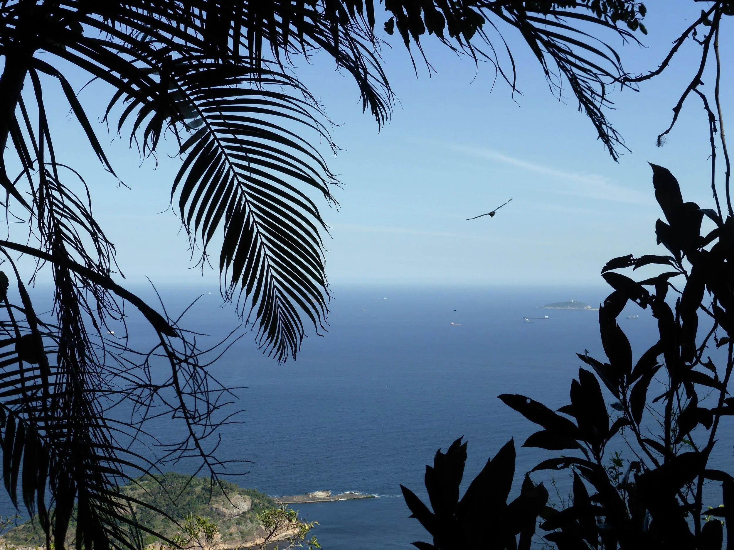 Du haut du Pain de sucre : la sensation de se dissoudre dans l'azur