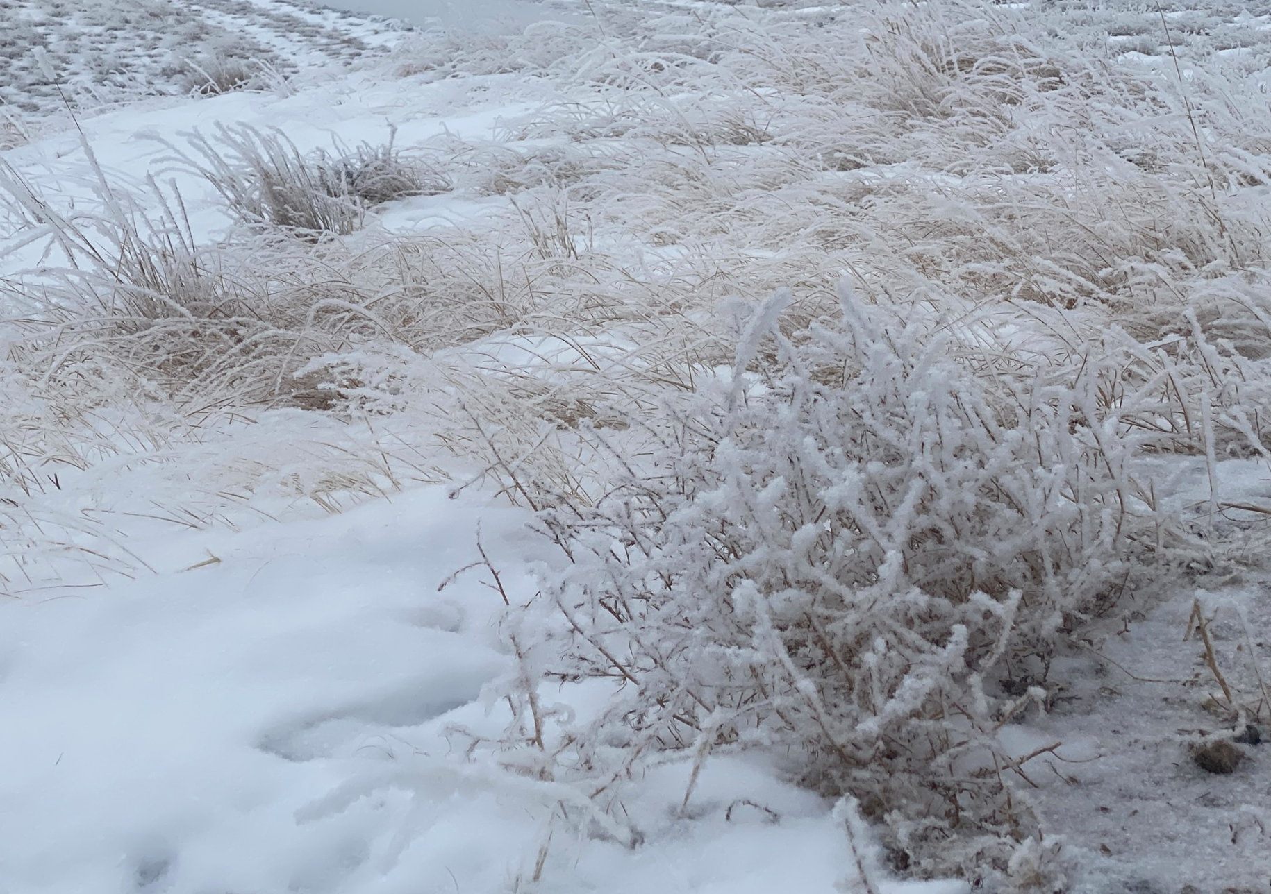 Breaking - Medicine Hat’s Homeless to Be Left in The Cold