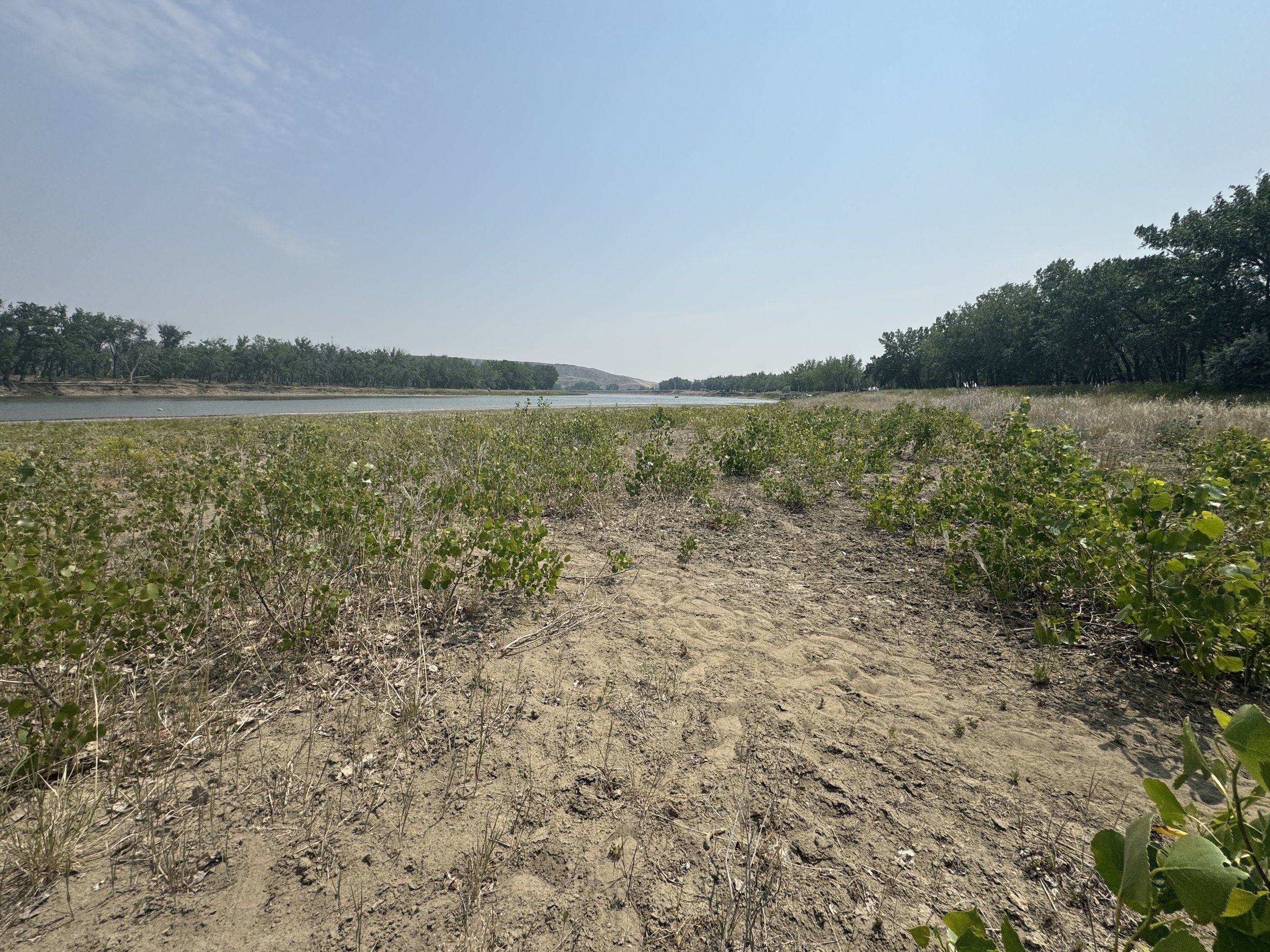 River Report #7 - Number of Record Low Streamflows Spreading Across Southern Alberta