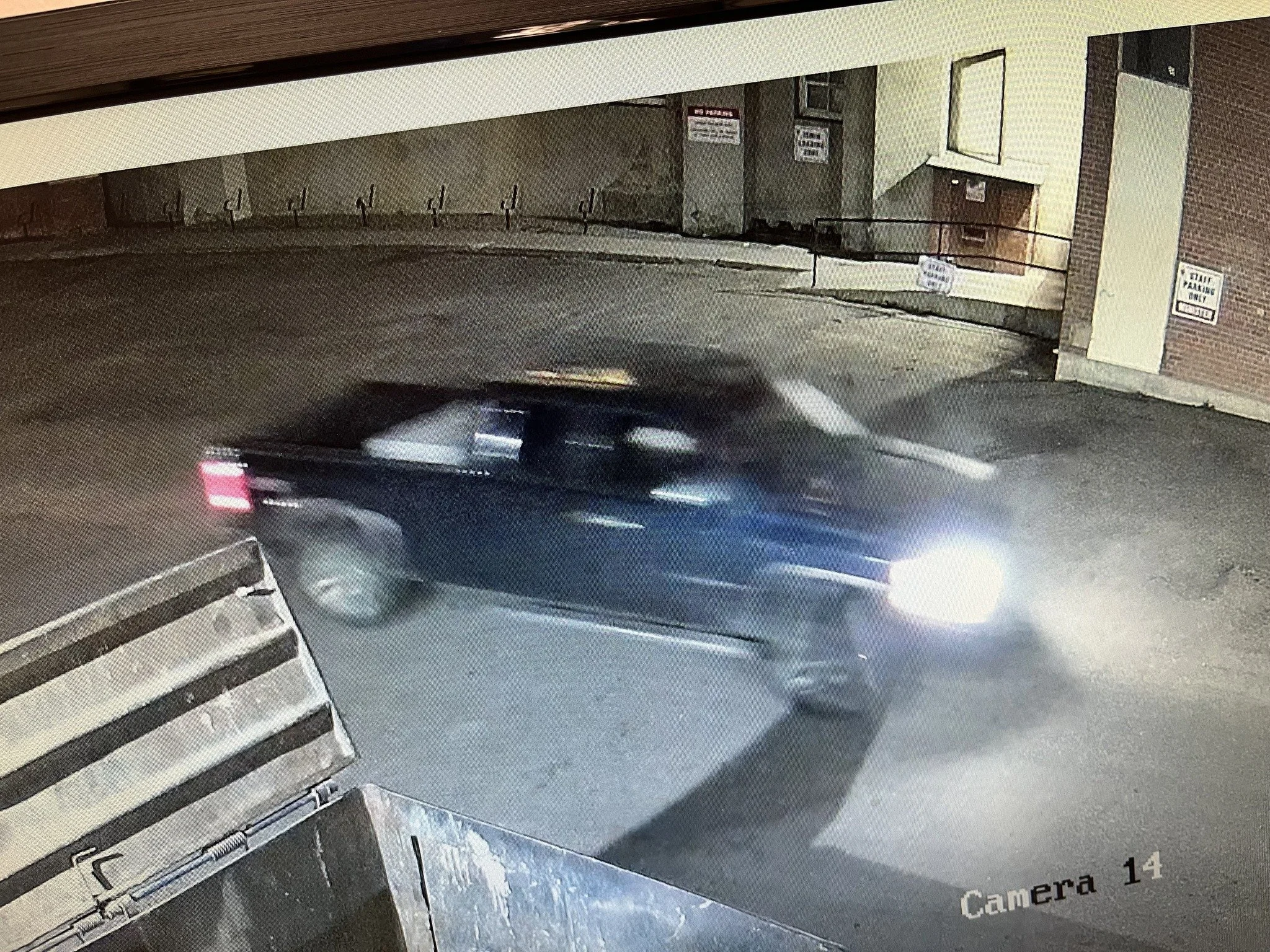 Downtown Medicine Hat Pellet Gun Incident