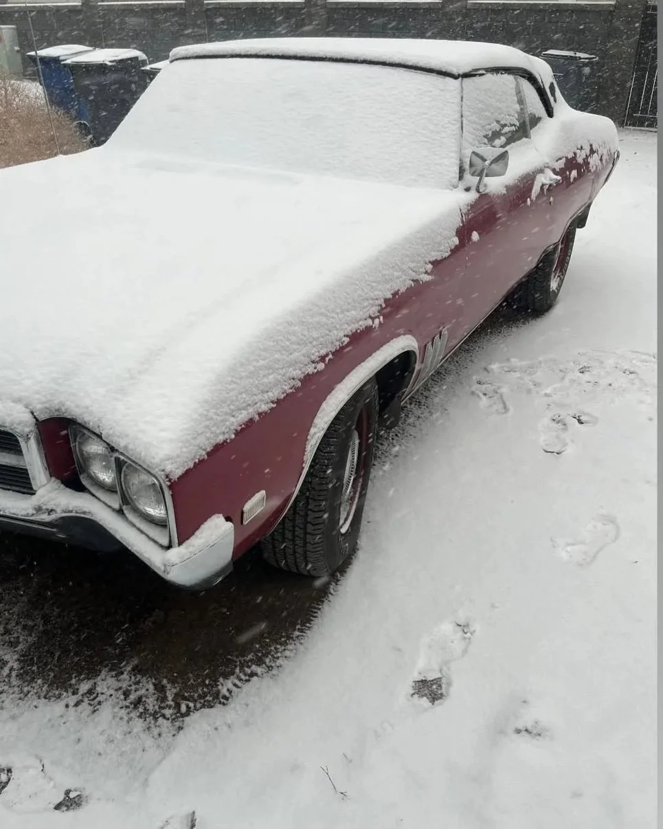 Medicine Hat Under a Snowfall Warning