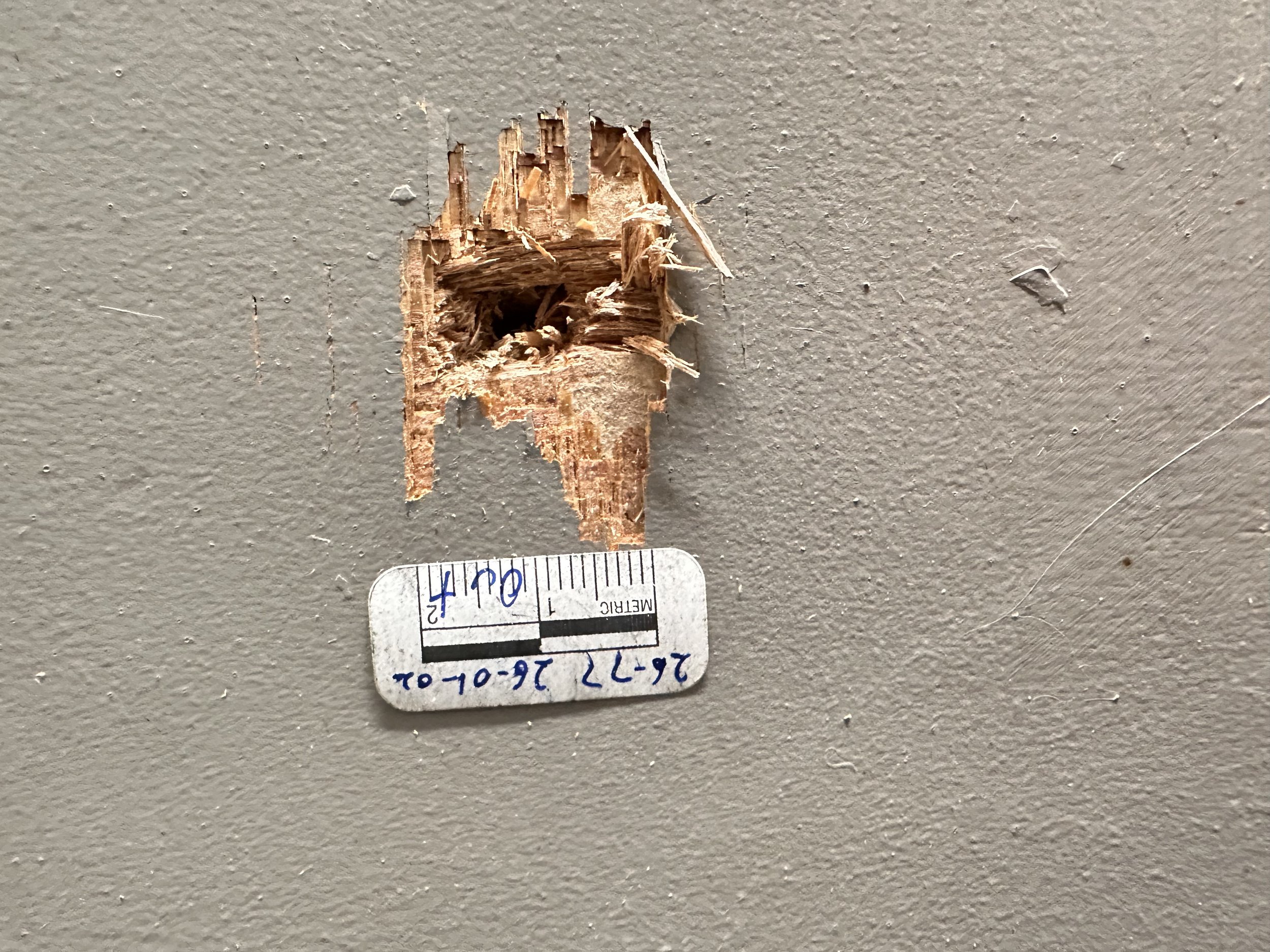 Police shootout / suspects flee: leaving bullet holes