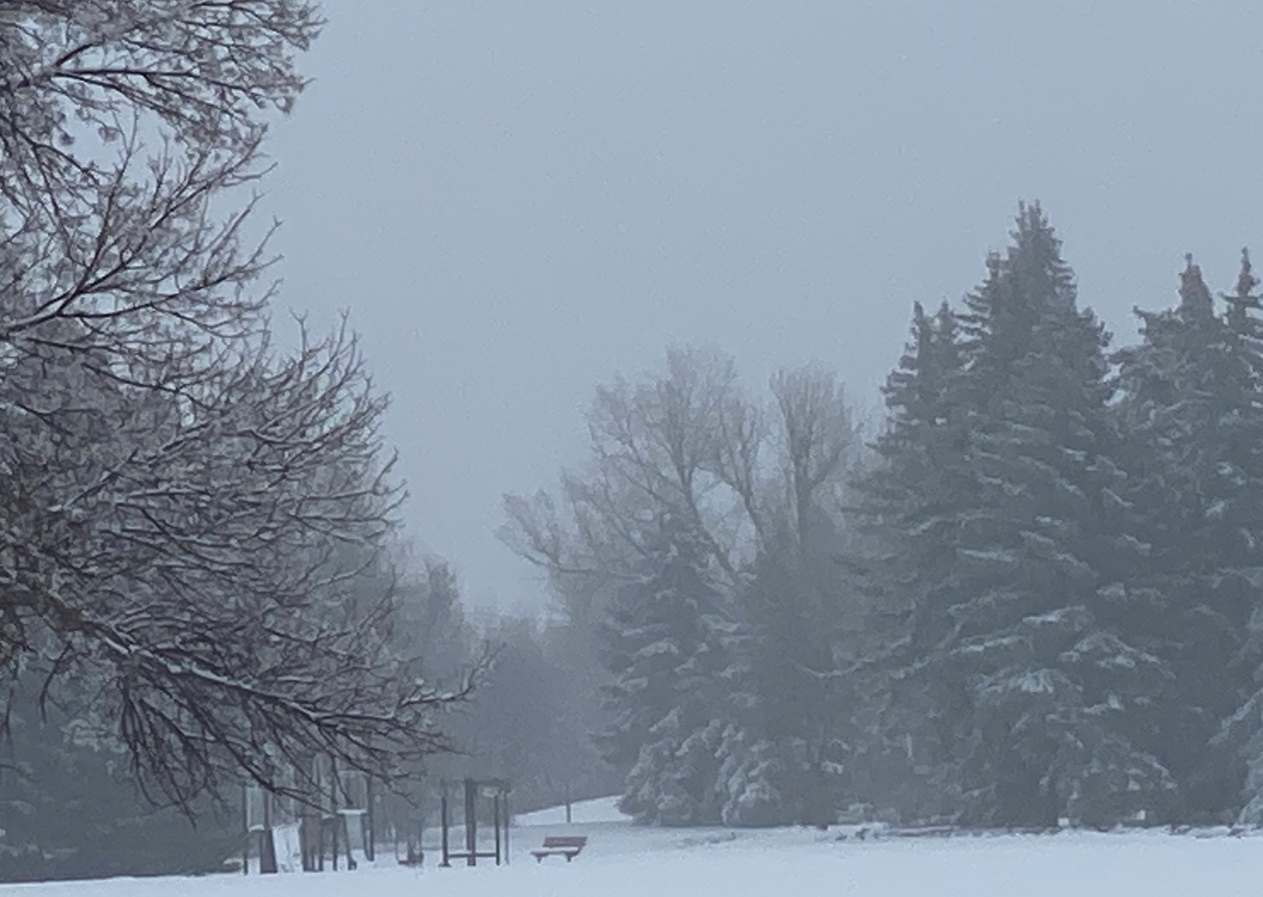 Winter Storm Warning Issued