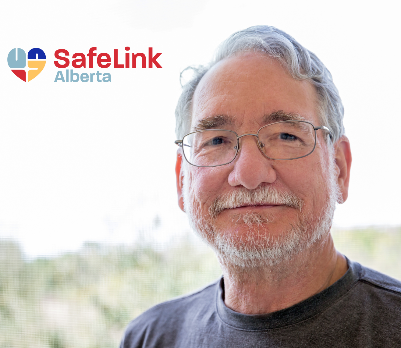 Safelink Presentation at the Library