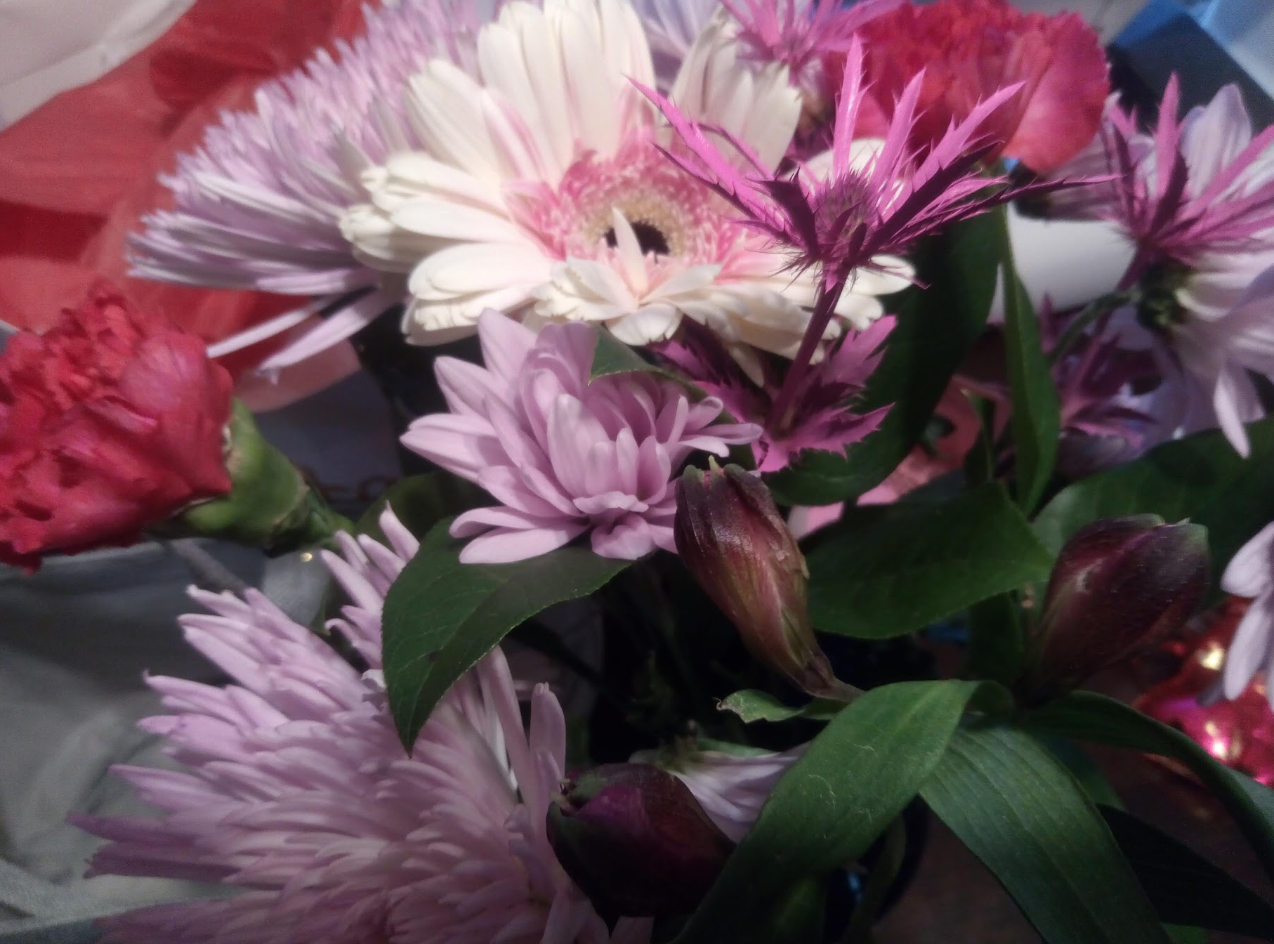 Alone, Not Lonely: It’s Okay to Be Riding Solo On Valentine's