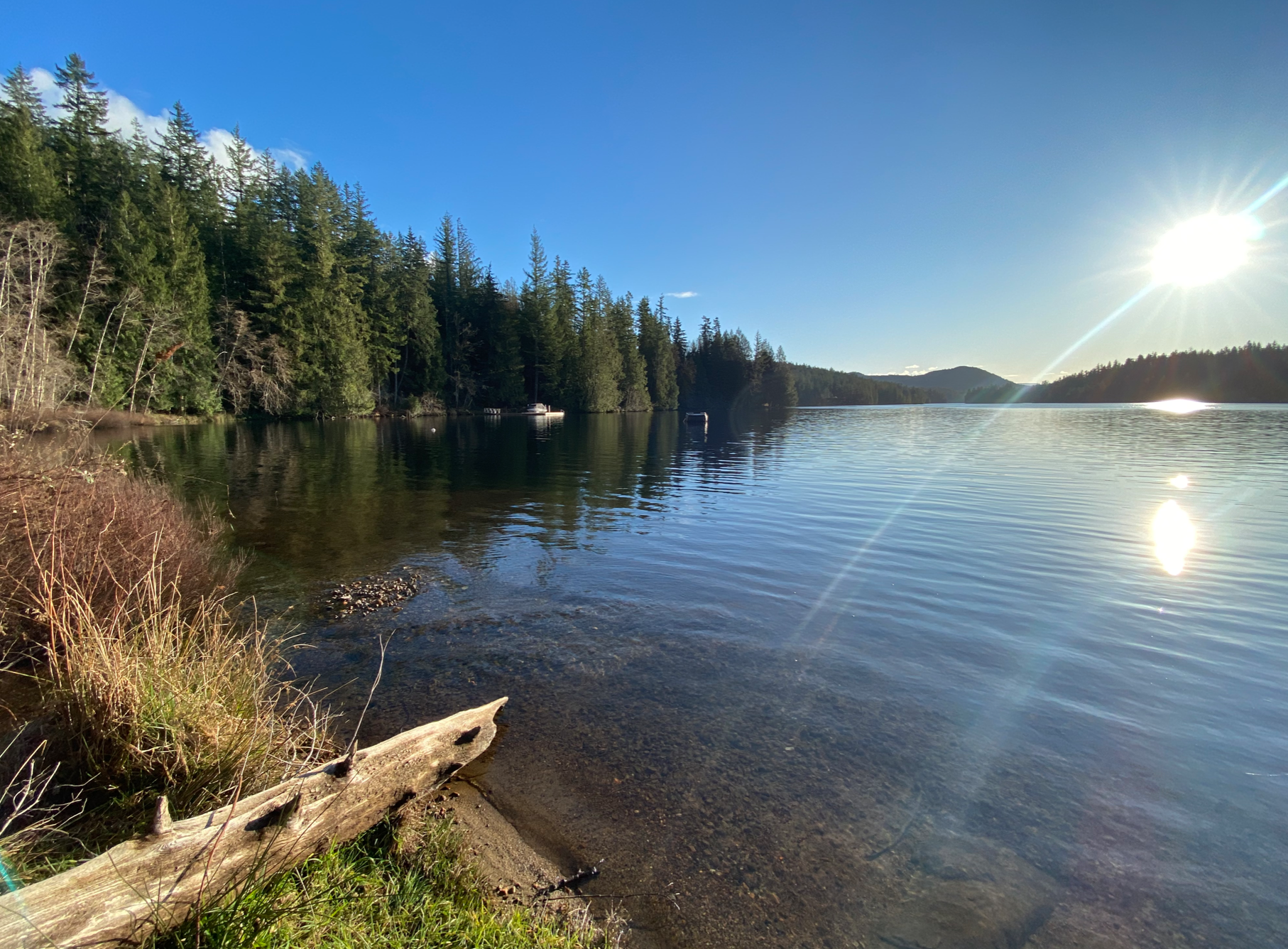 Behavioural Health Consultants (BHCs)