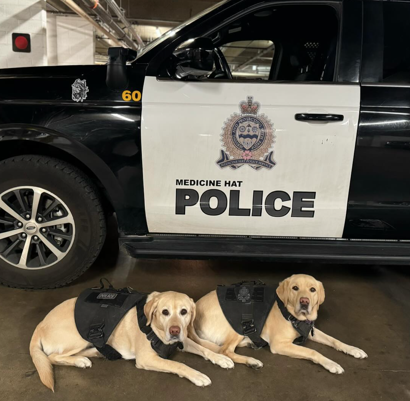 Nov 19 Medicine Hat Police Commission Meeting