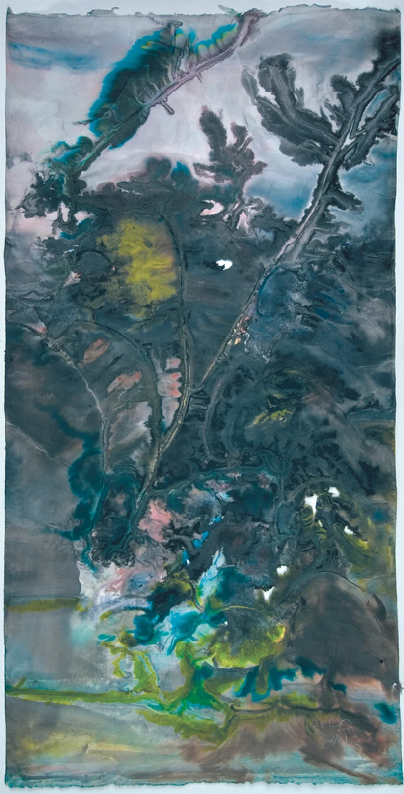Alga (2003)
