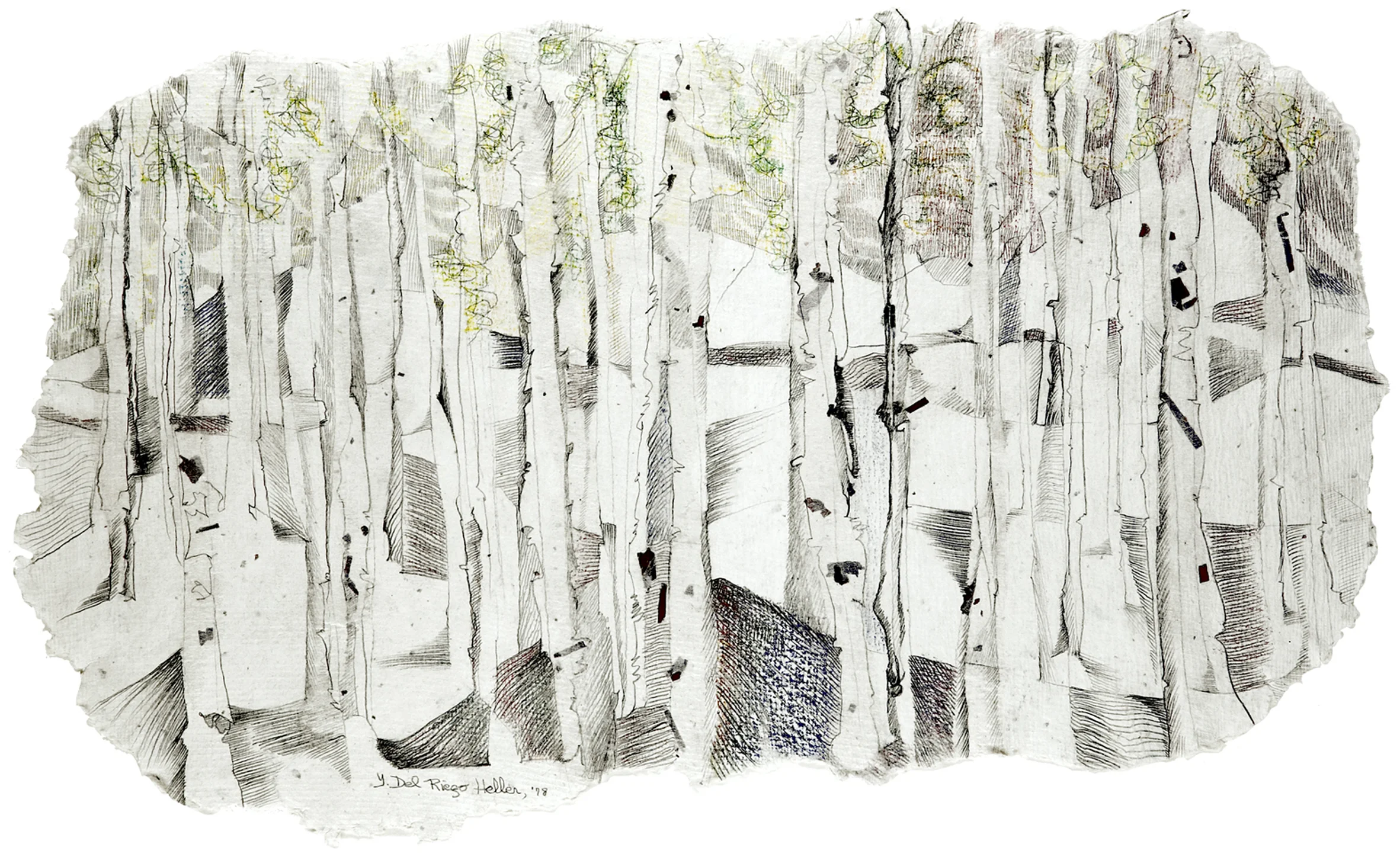 Birch Trees (1980)