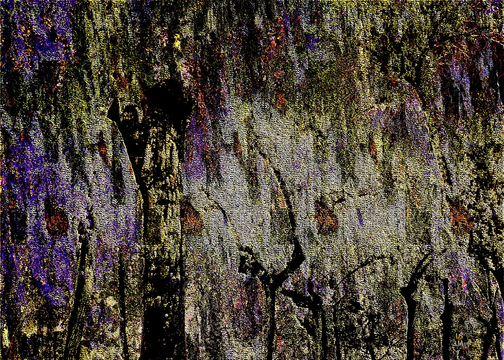 Bosque en llamas (2012)