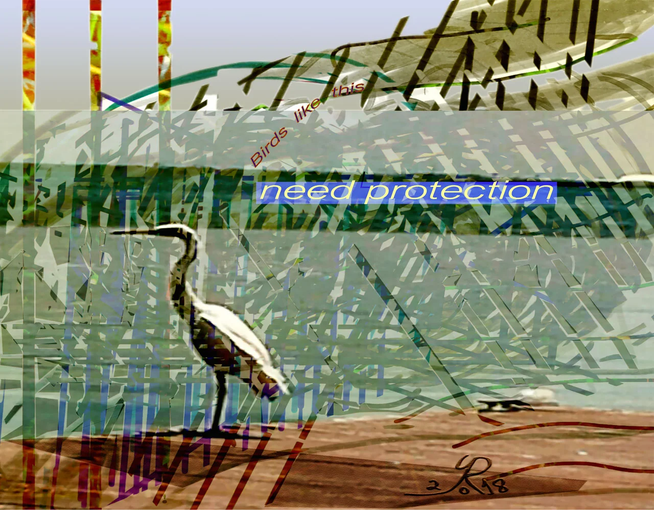 Los pájaros necesitan protección