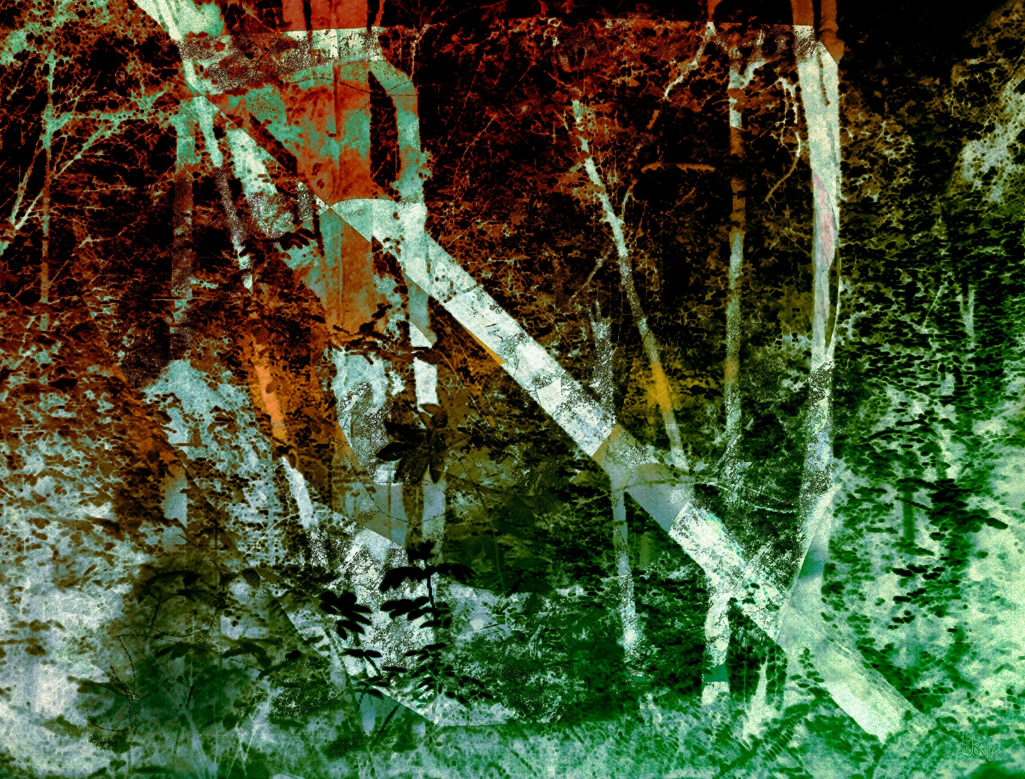 Sherwood Forest "Fallen Tree" Digital C-Print, 76 x 100 cm