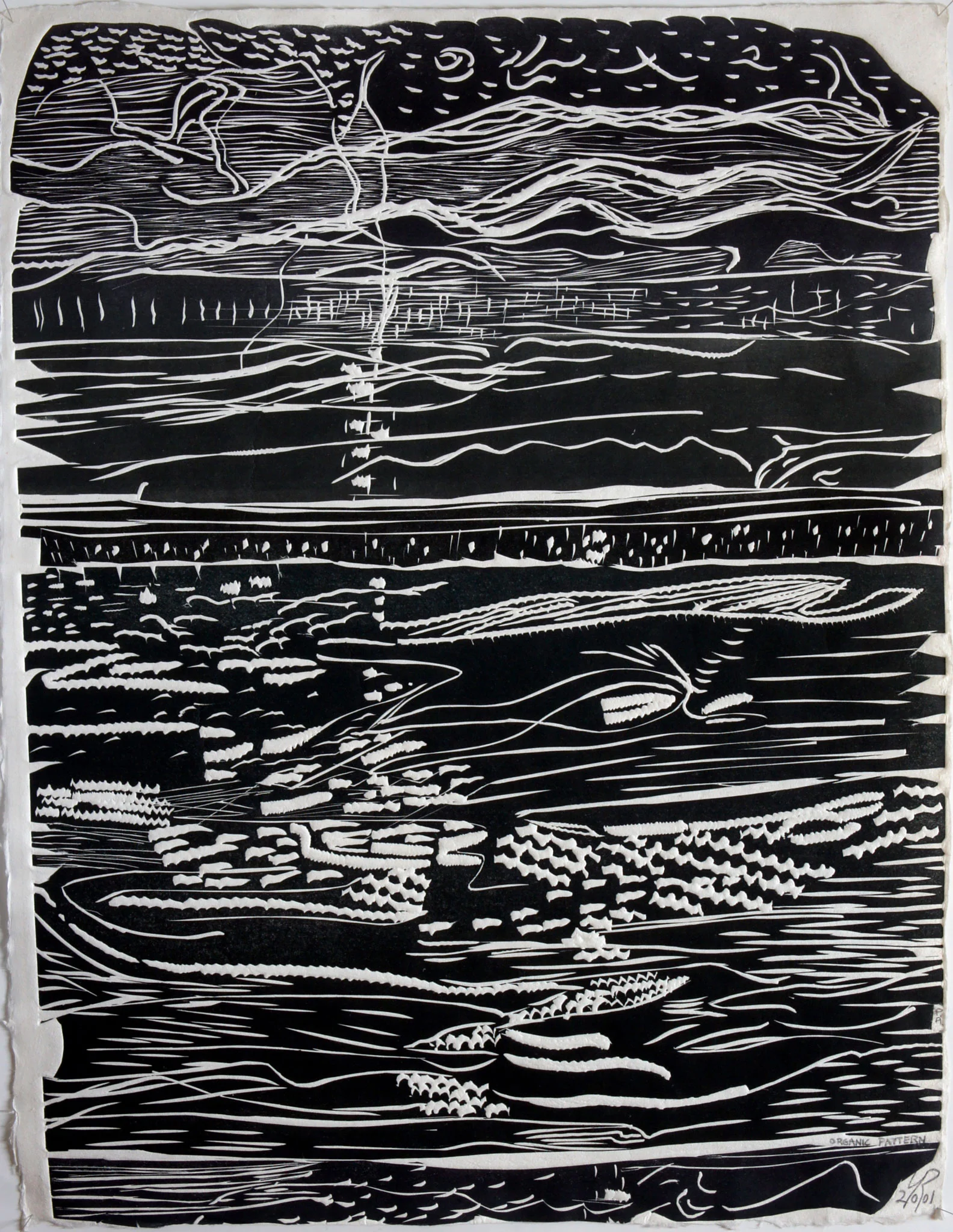 Organic Pattern (2001)