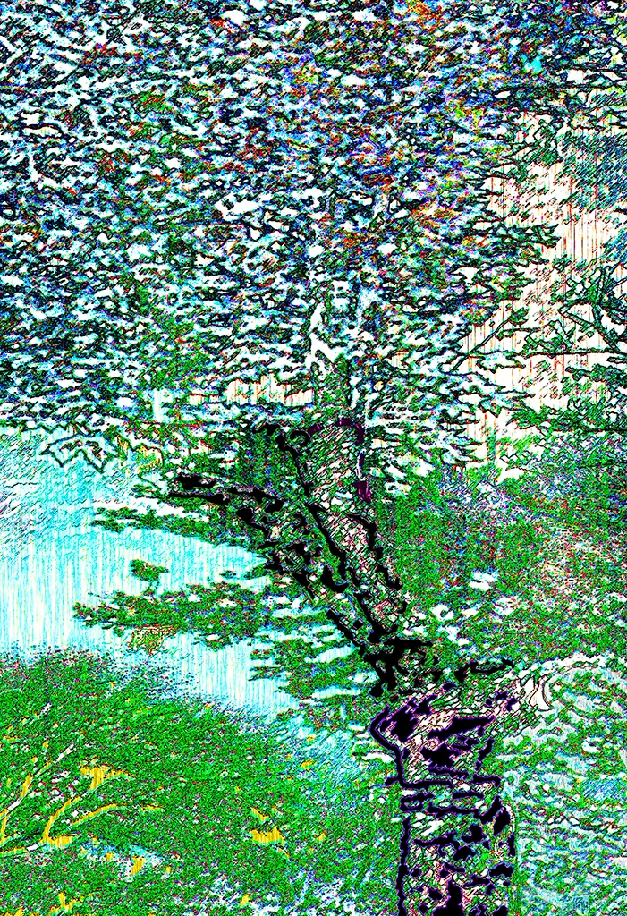 Encina en primavera (2011)