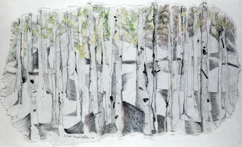 Birch Tree (1980)