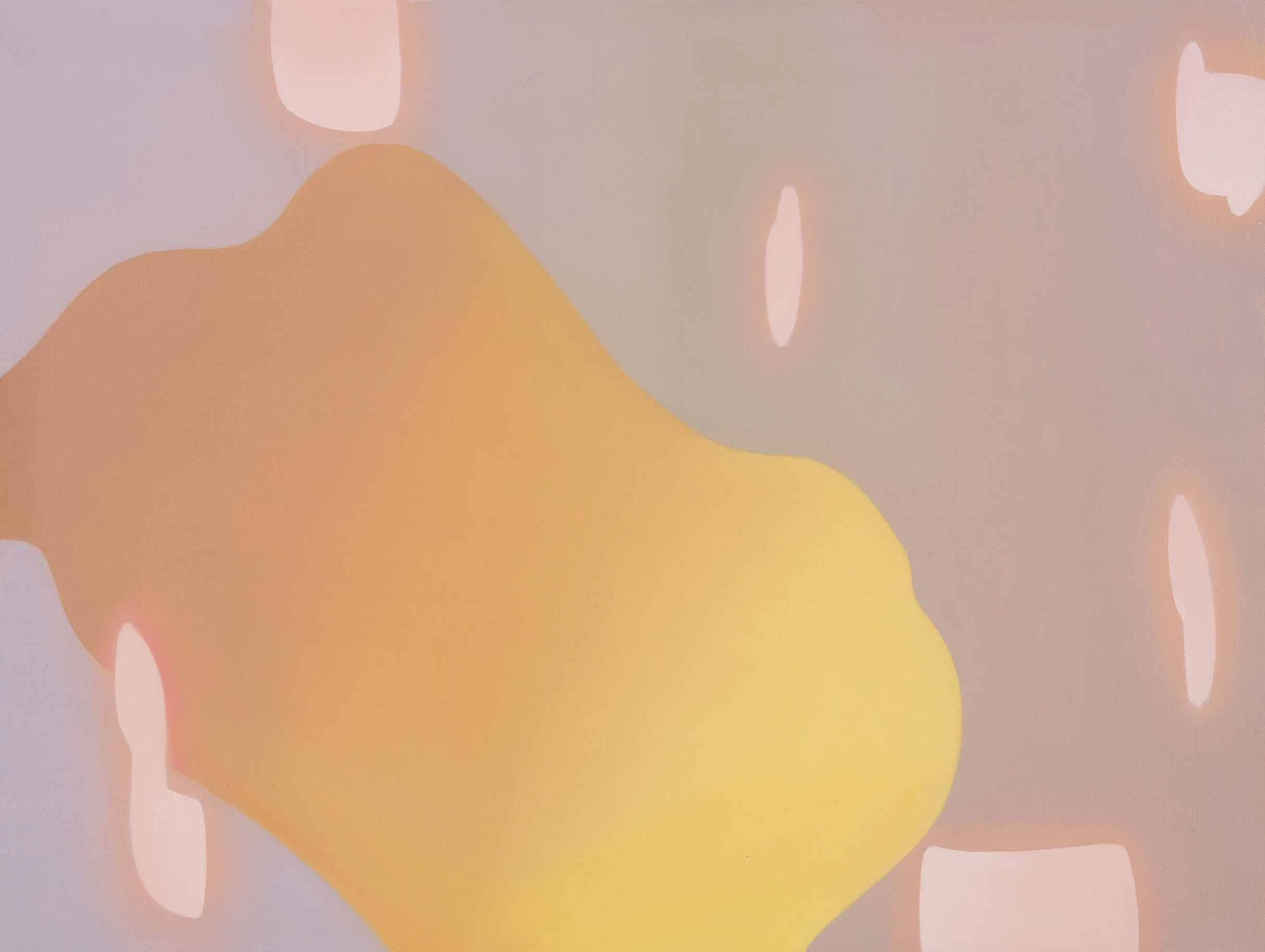 轮廓 Ⅴ /Contours Ⅴ