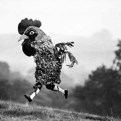 This Guy, On The Other Hand, is a Big Chicken.