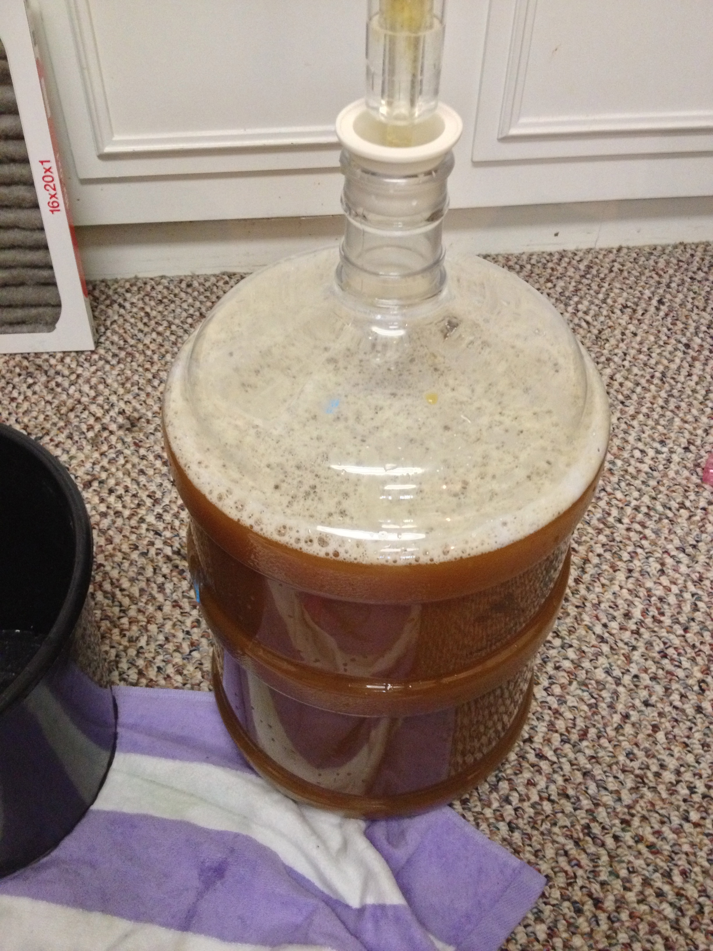 Some home brew beer I made