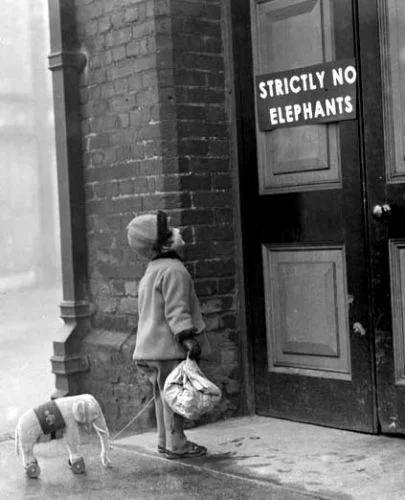 Is that Really an Elephant, Strictly Speaking?