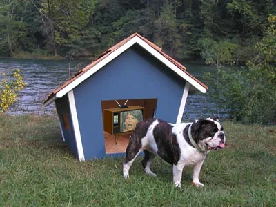 dog-house-oprah.jpeg