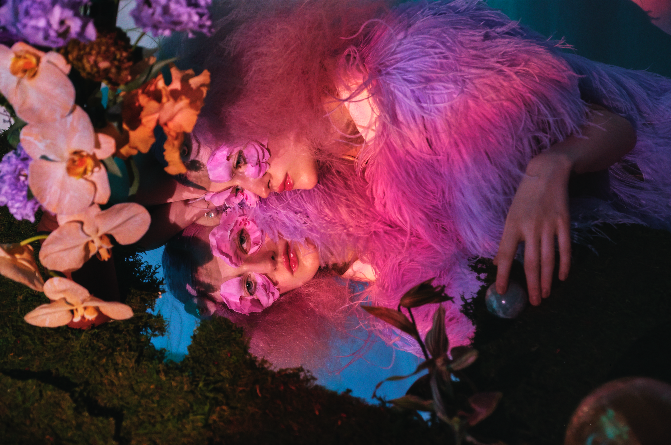 IRIS COVET BOOK