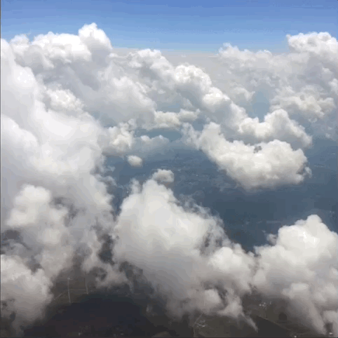 homeward cloud.