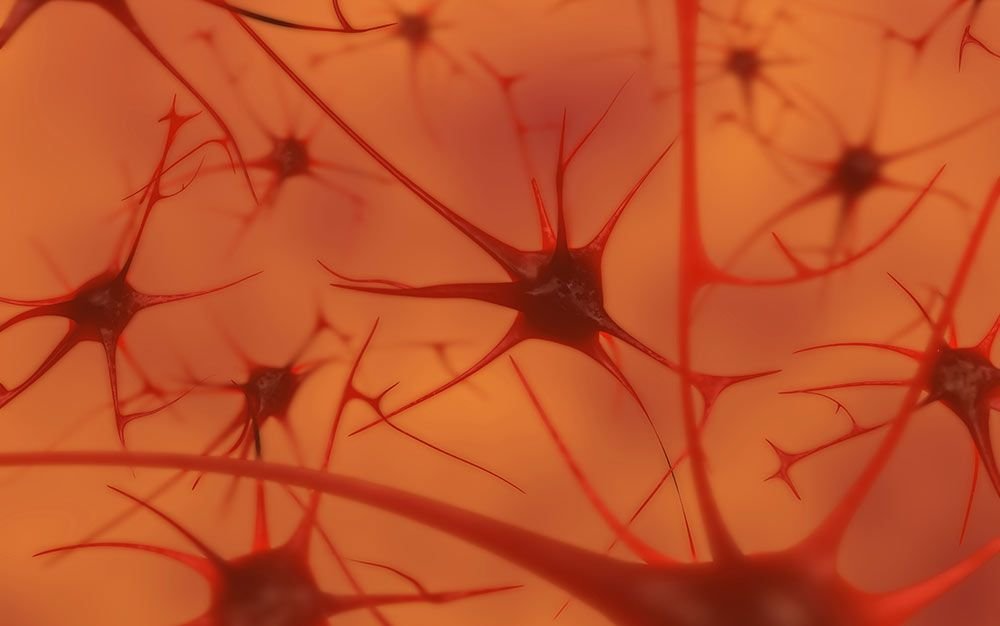 your brain is not a computer
