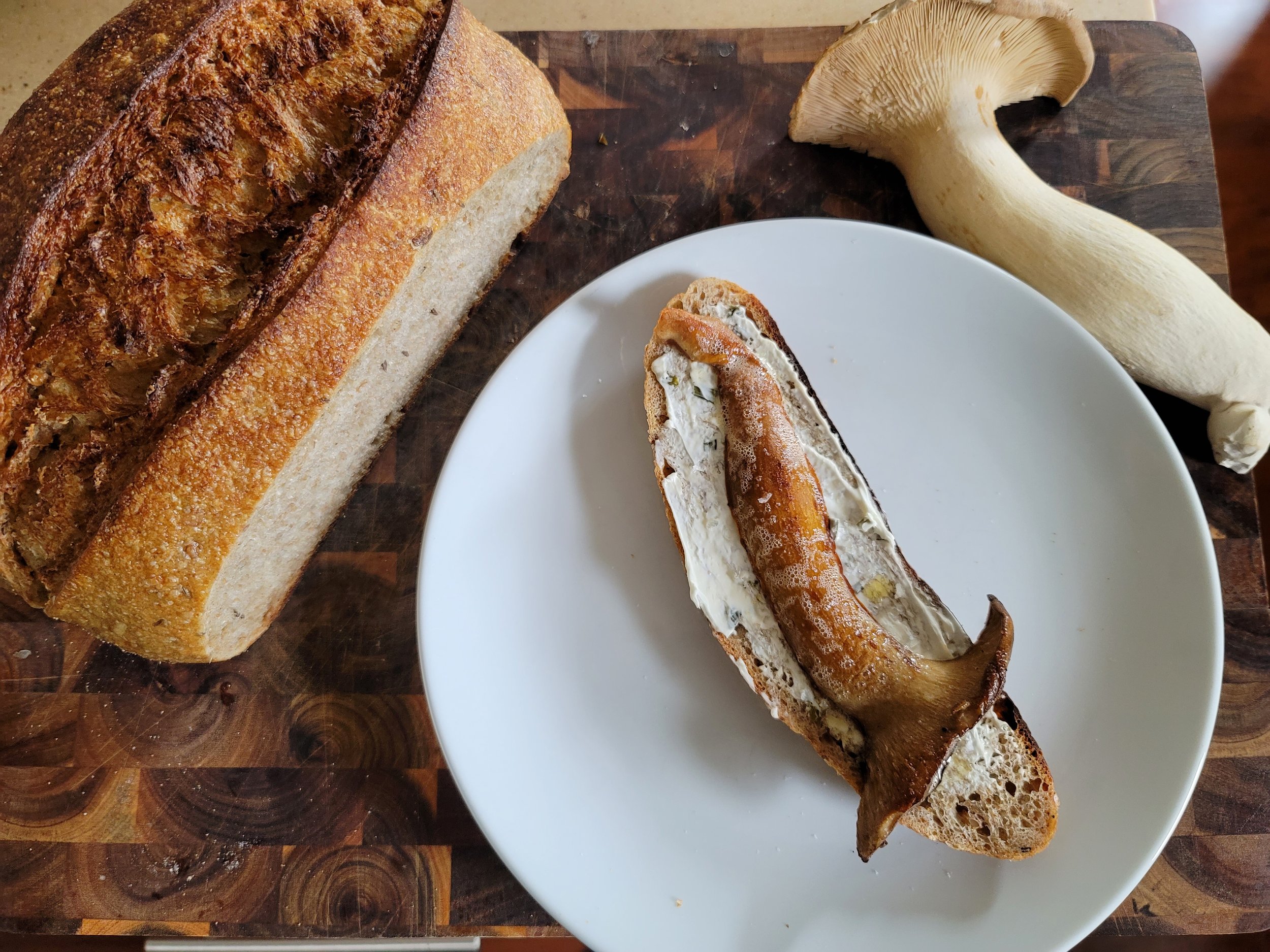 mushroom testing.