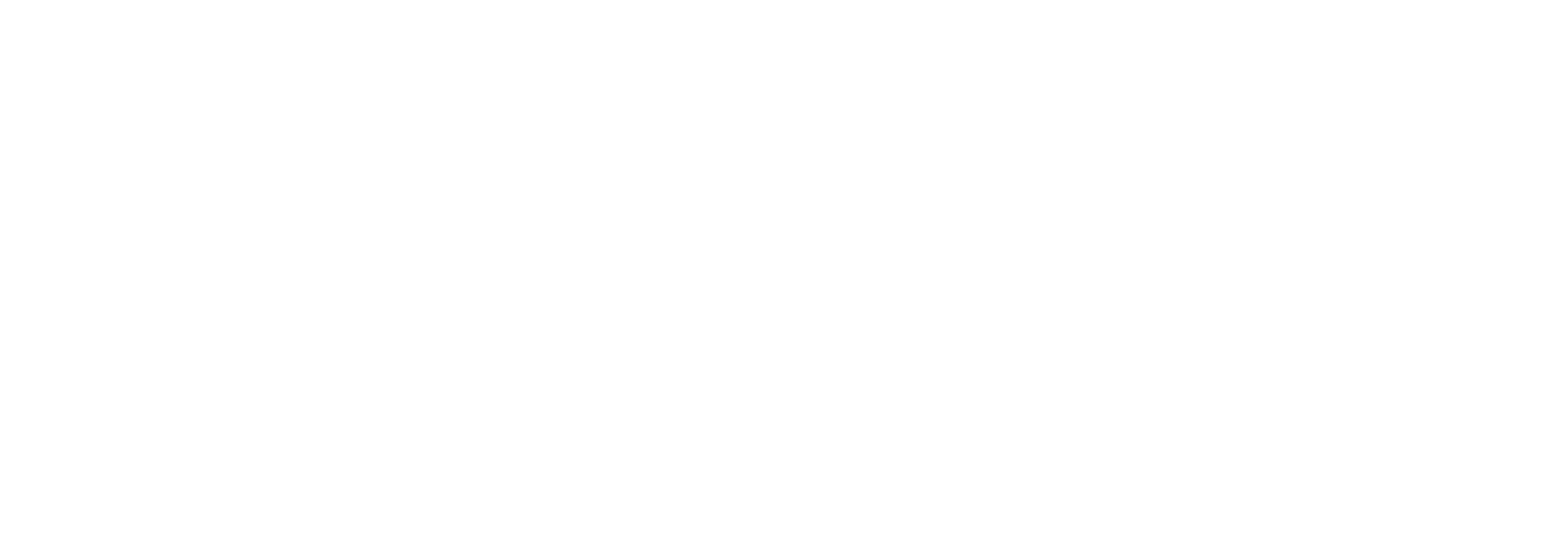 sbp logo white.png