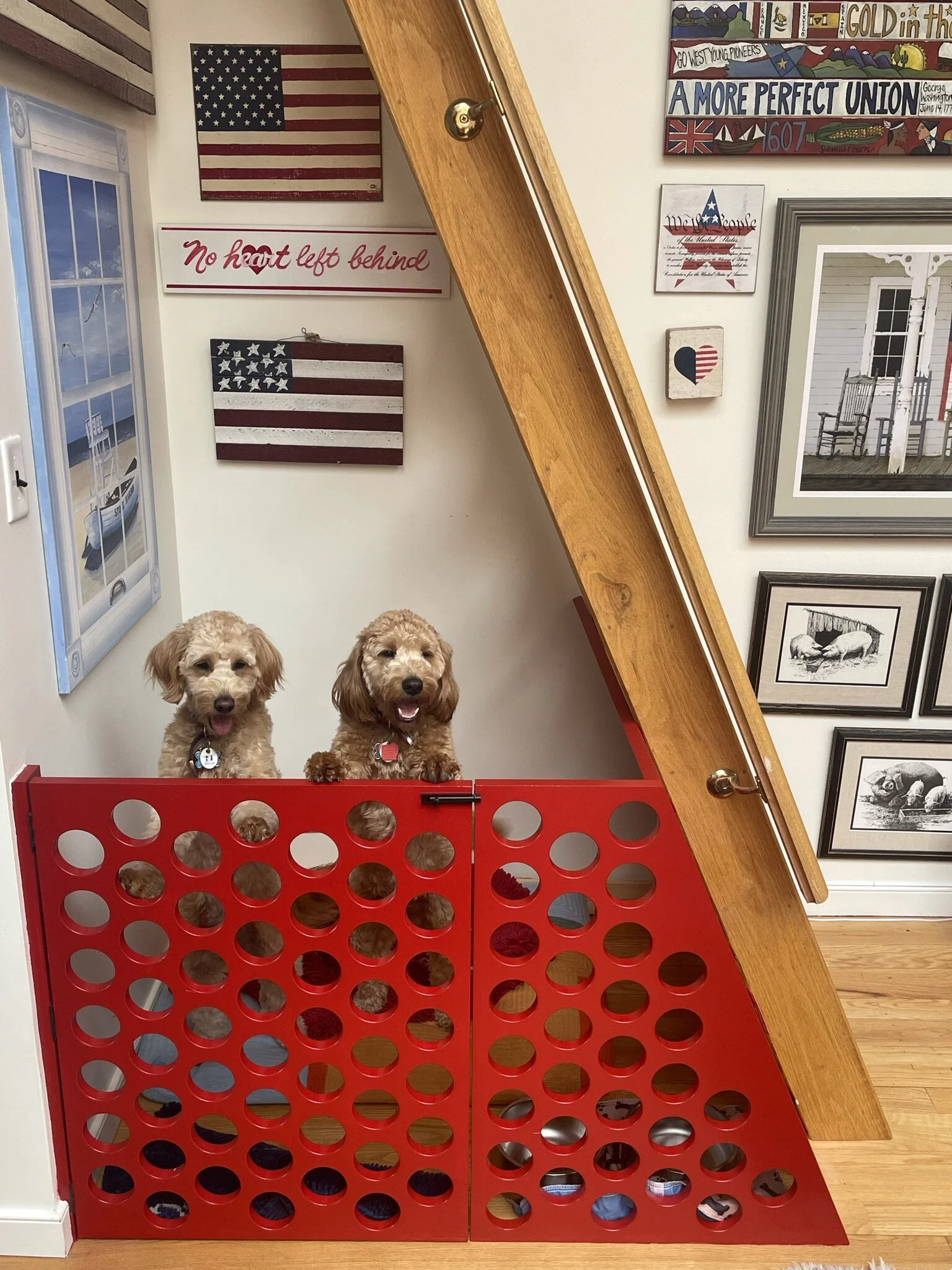  Custom dog house for the puppies. 