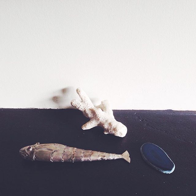 Little sea collection on the mantle piece. I like it when random objects come together to form little scenes.