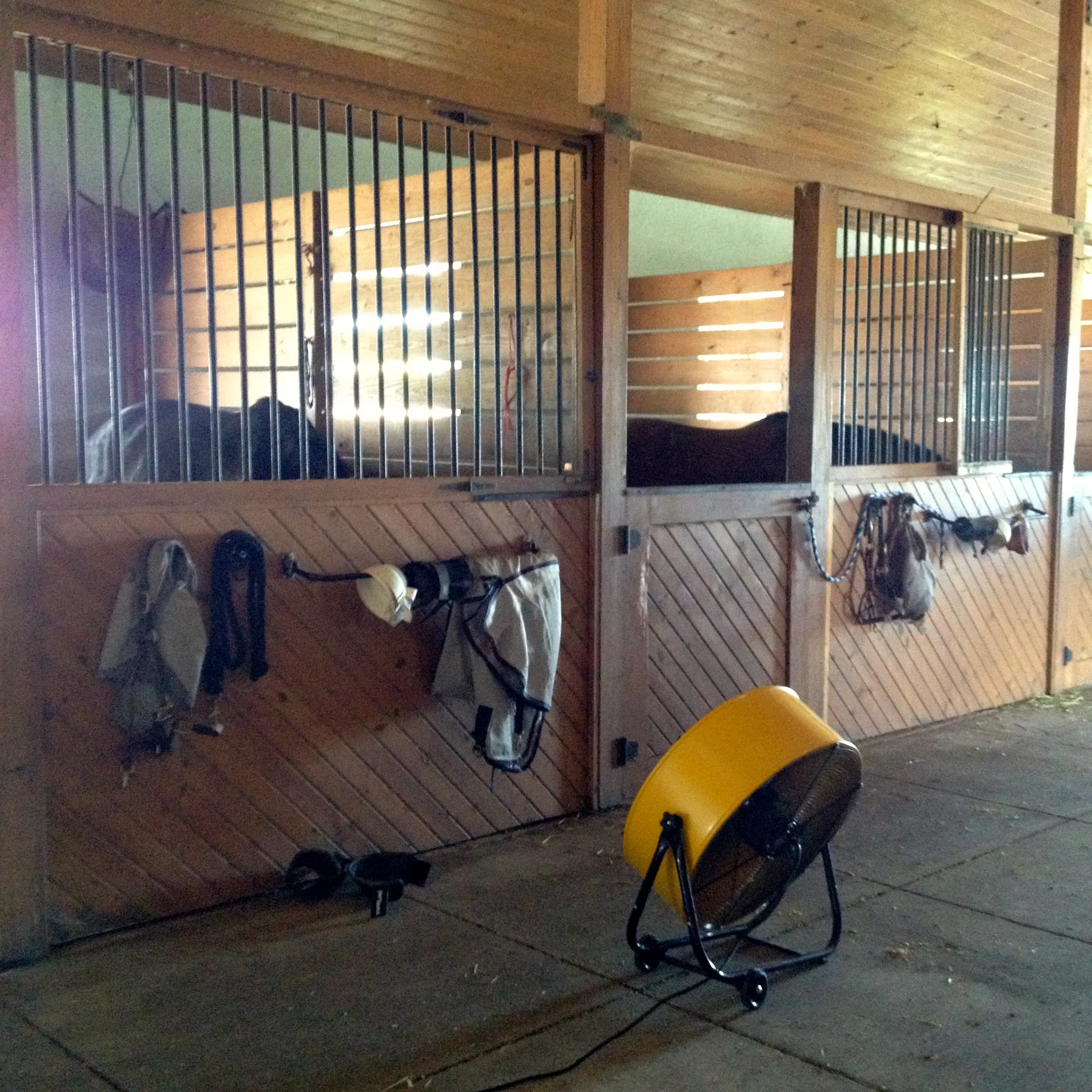 Interior Barn