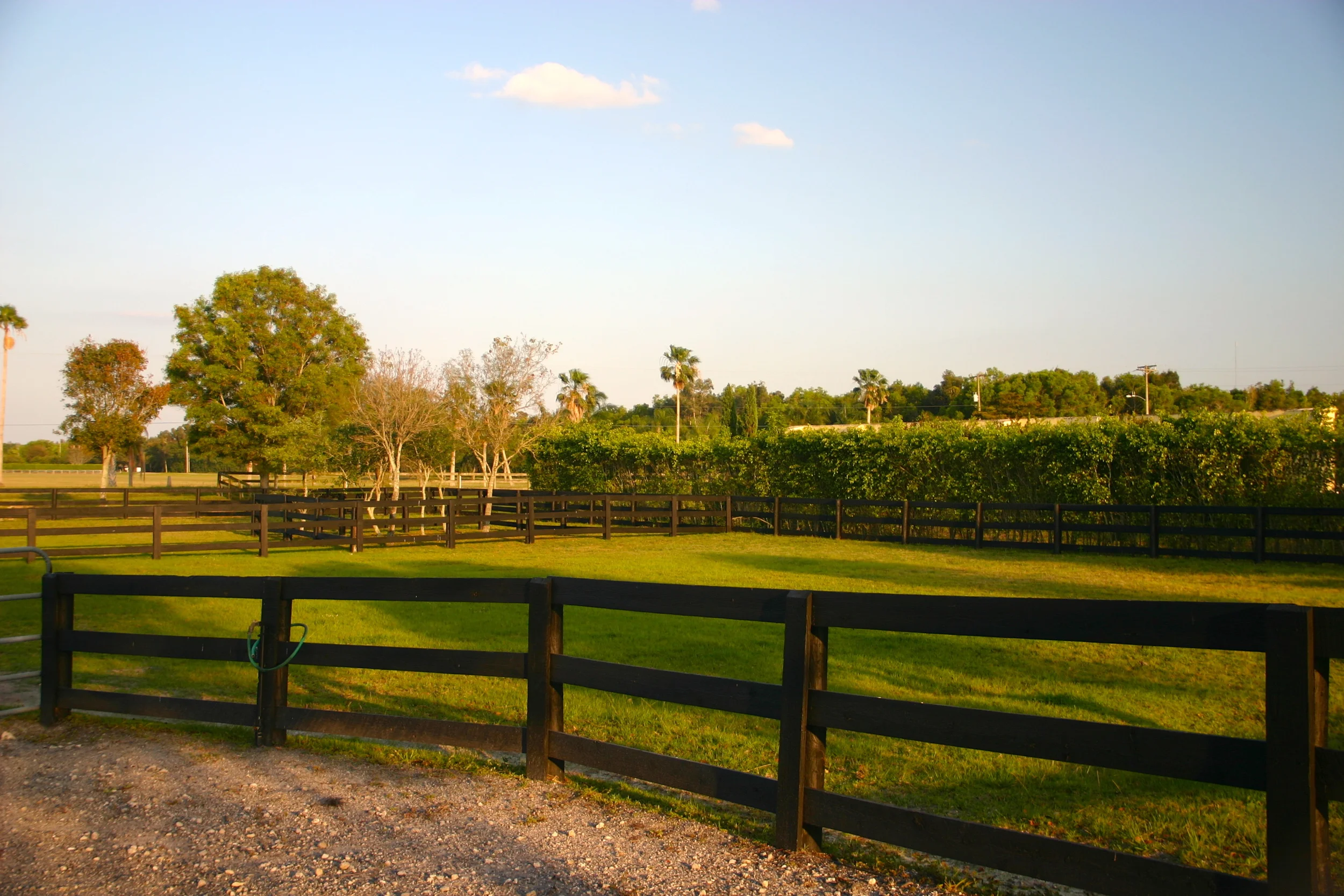 Back Pasture